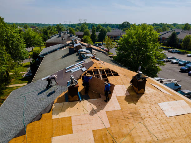 Best Commercial Roofing Services  in Meridian Village, CO