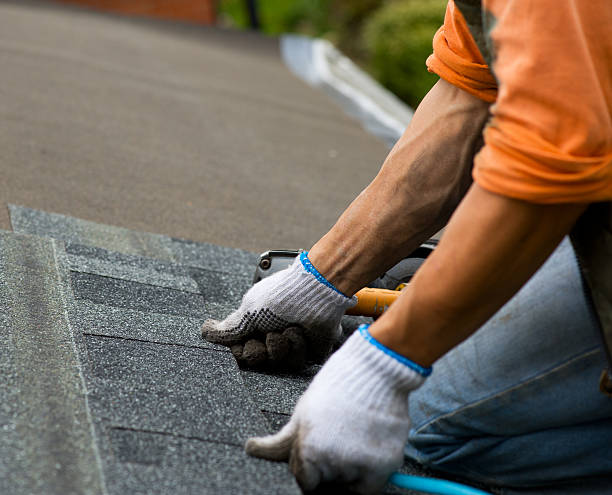 Best Roof Gutter Cleaning  in Meridian Village, CO