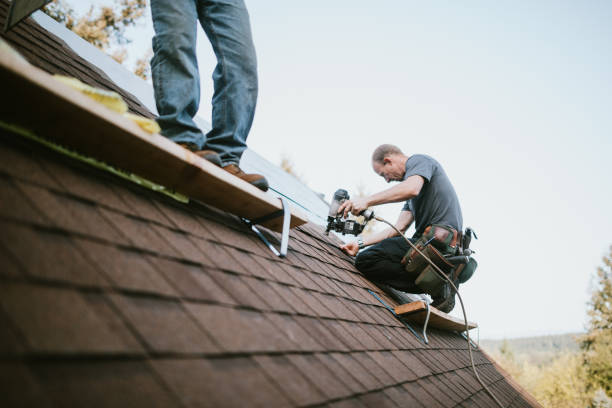 Best Shingle Roofing Installation  in Meridian Village, CO